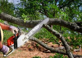 Landscape Design and Installation in San Felipe, TX